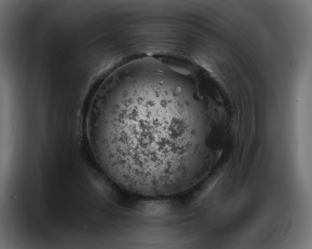 X0000086930303200704161430