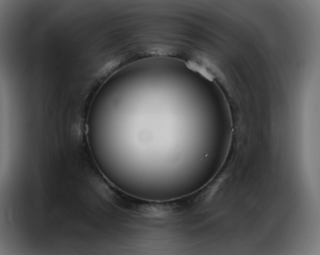 X0000086930305200704161430