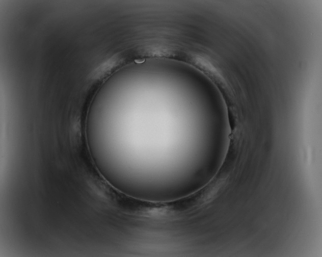 X0000086930306200704161430