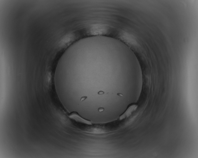 X0000086930308200704161430