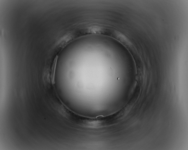 X0000086930313200704161430