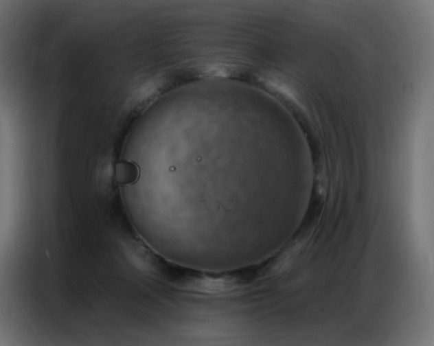 X0000086930314200704161430