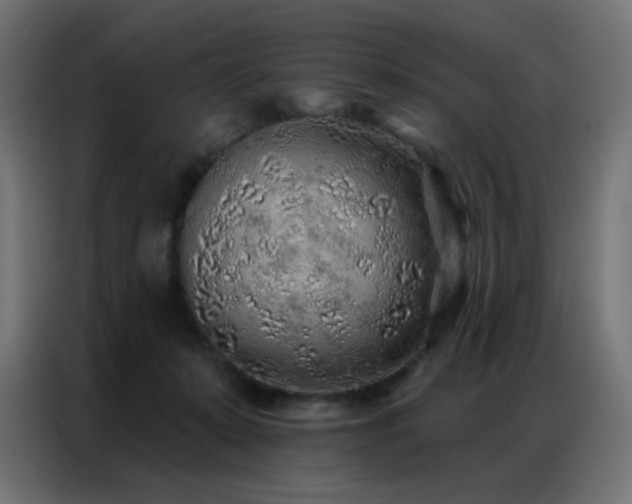 X0000086930319200704161430