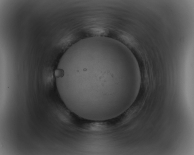 X0000086930320200704161430