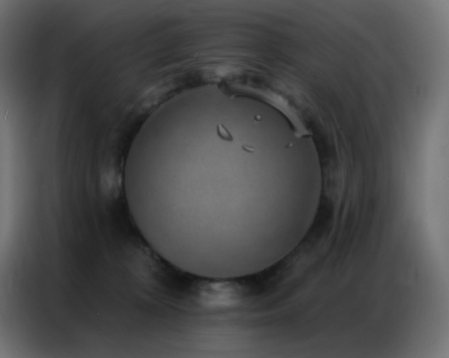 X0000086930324200704161430