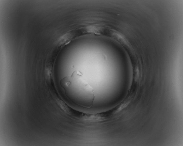 X0000086930329200704161430