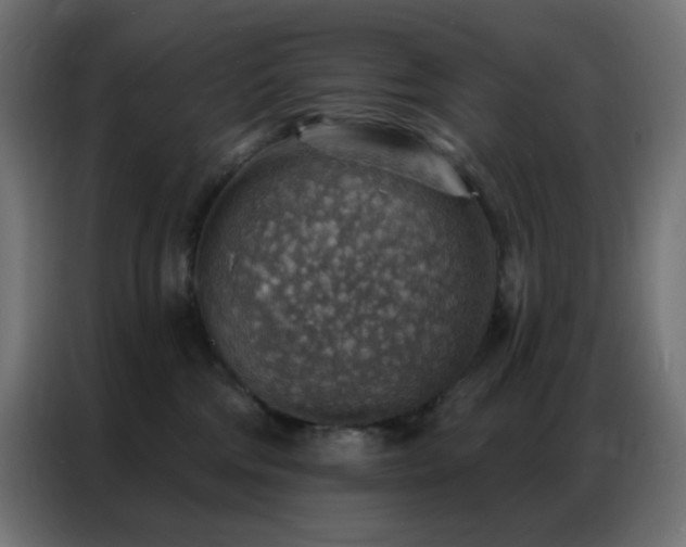 X0000086930330200704161430