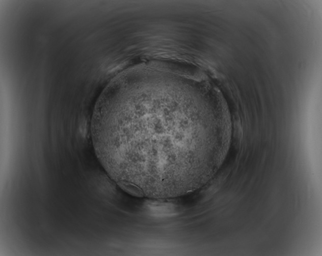 X0000086930331200704161429