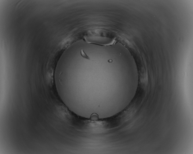 X0000086930332200704161429