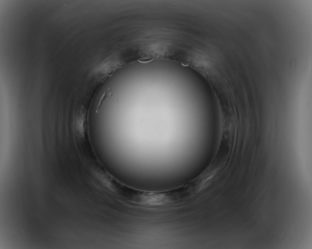 X0000086930334200704161429