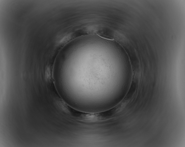 X0000086930335200704161429