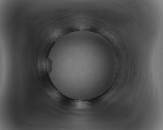 X0000086930336200704161429