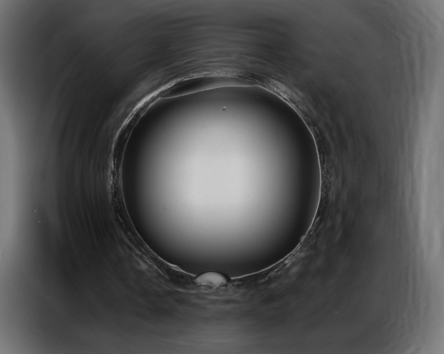 X0000086930338200704161429