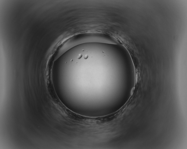 X0000086930339200704161429