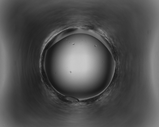 X0000086930340200704161429