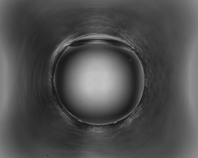 X0000086930341200704161429