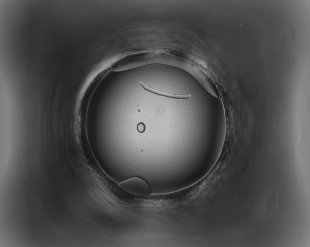 X0000086930342200704161429