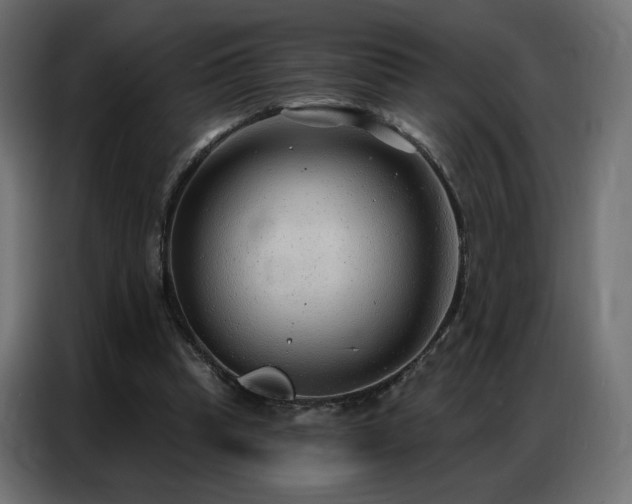 X0000086930345200704161429