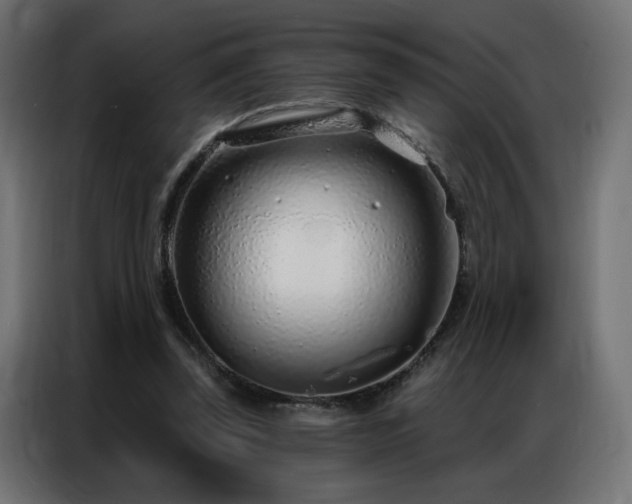 X0000086930347200704161429