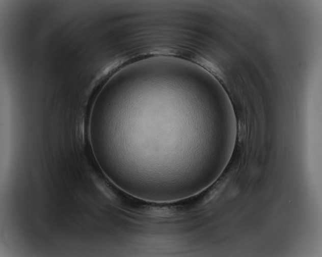 X0000086930349200704161429