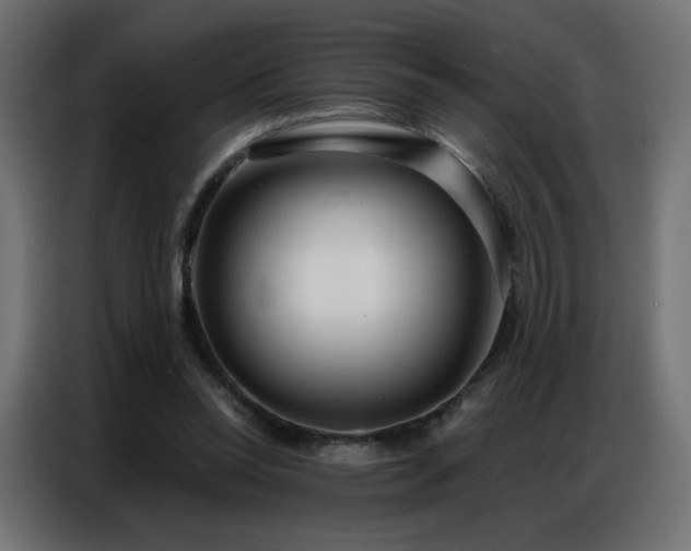 X0000086930350200704161429