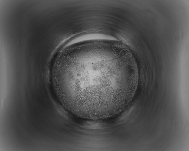 X0000086930351200704161429