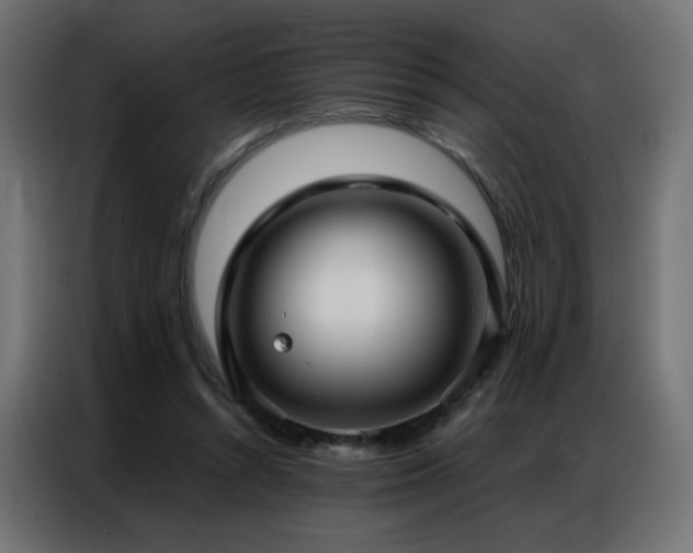 X0000086930352200704161429