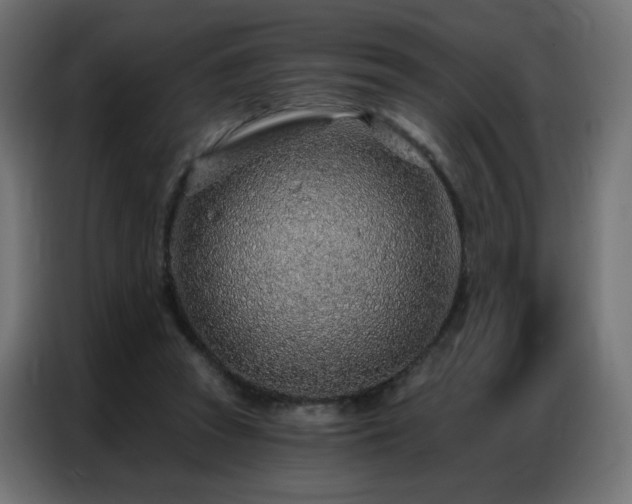 X0000086930353200704161429