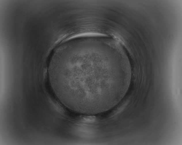 X0000086930355200704161429