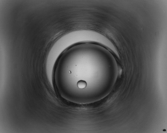 X0000086930356200704161429