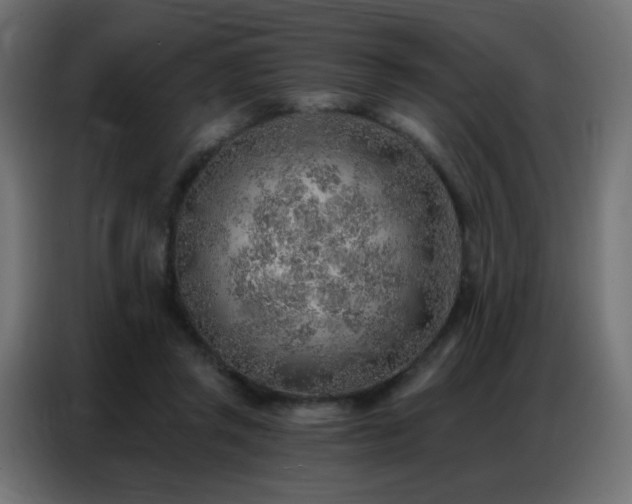 X0000086930357200704161429