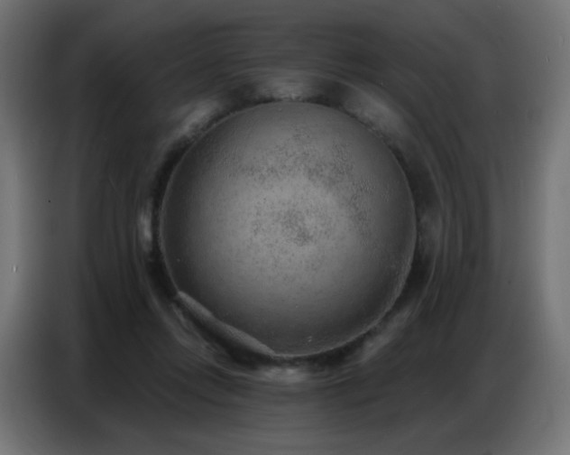 X0000086930358200704161429