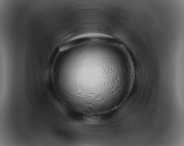 X0000086930359200704161429