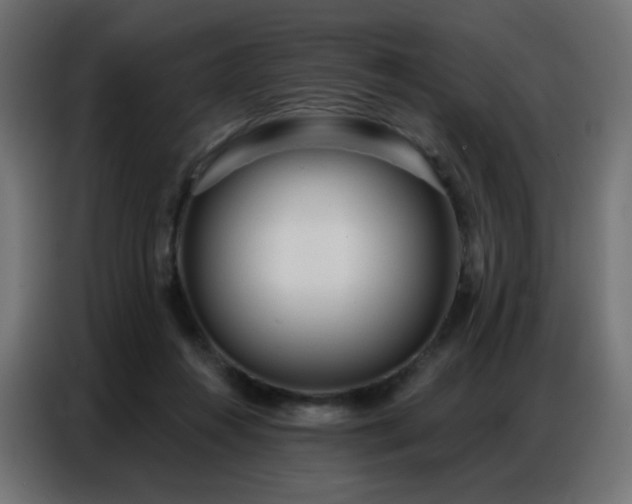 X0000086930360200704161429