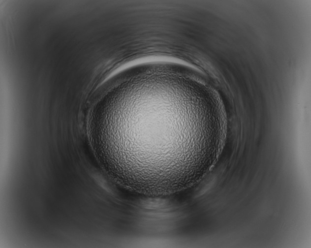 X0000086930361200704161429