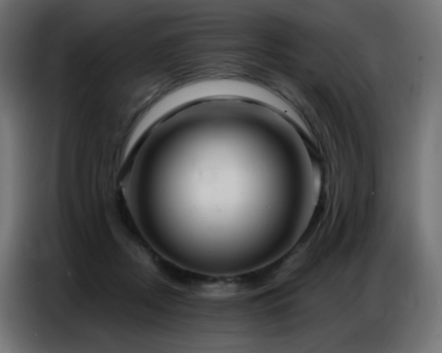 X0000086930362200704161429