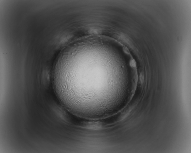 X0000086930363200704161429