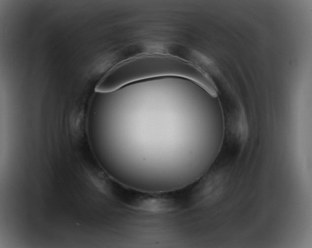 X0000086930364200704161429