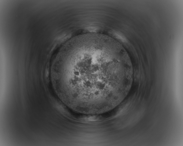 X0000086930365200704161429