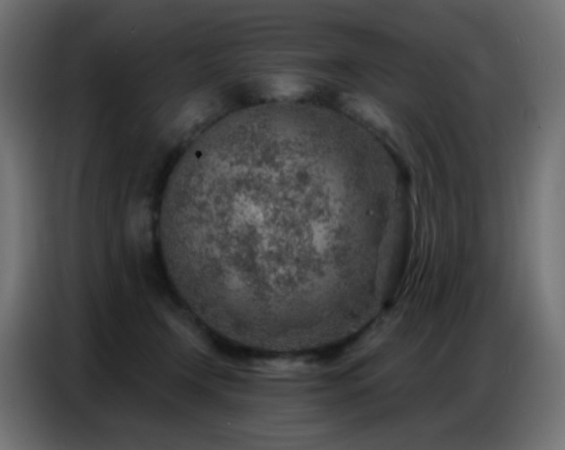 X0000086930366200704161429