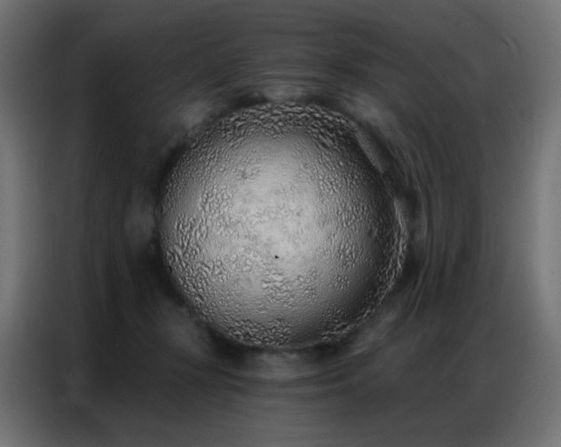 X0000086930367200704161429