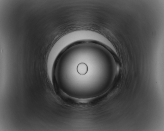 X0000086930368200704161429