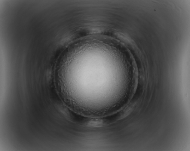 X0000086930369200704161429