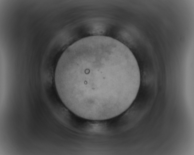 X0000086930370200704161429