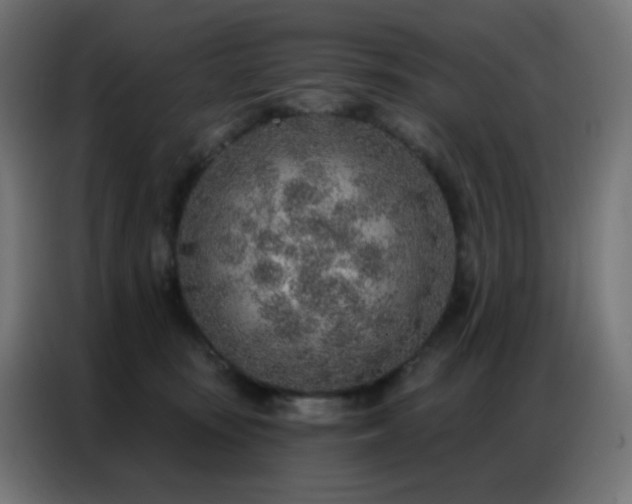 X0000086930371200704161429