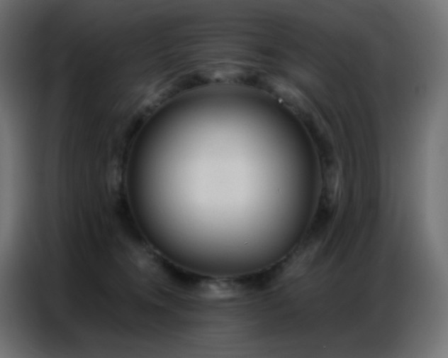 X0000086930372200704161429