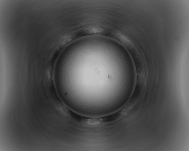 X0000086930373200704161429