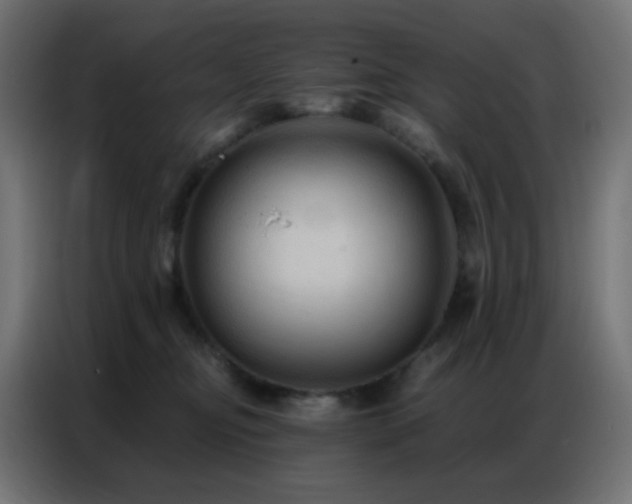 X0000086930374200704161429