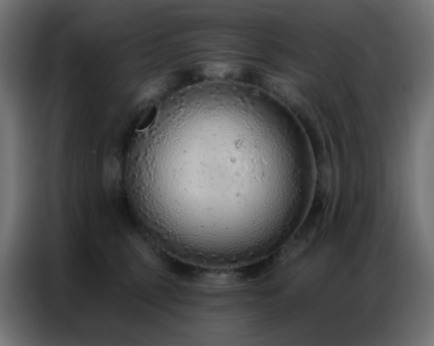 X0000086930375200704161429