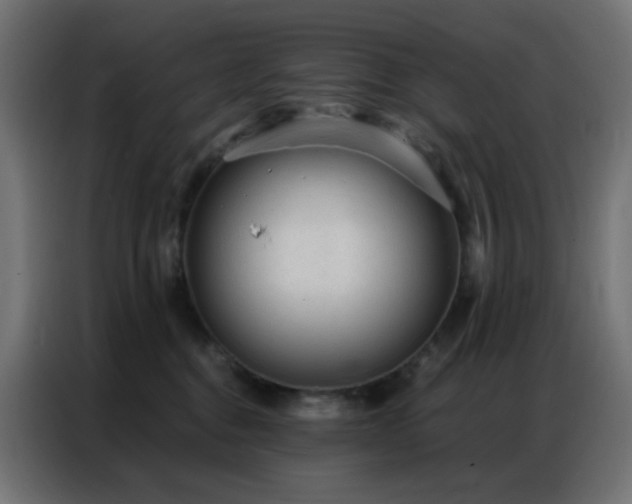 X0000086930376200704161429